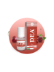TNT Vape - ANICERIZIA - Liquido pronto 10ml